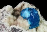 Vibrant Blue Cavansite Cluster on Stilbite - India #168233-2